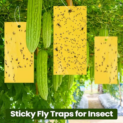 150 Pcs Yellow Sticky Traps for Gnats (7.8 x 3.9 Inch / Yellow)