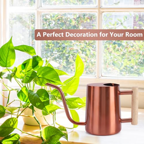 Watering Can Indoor Plants (Copper)