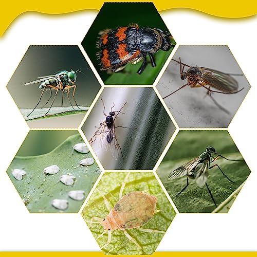 220 Pcs 7.9 x 4 Inch Yellow Sticky Traps for Plant Gnats Dual Sided Fruit Fly Sticky Traps for Indoors Outdoors with Twist Ties & Plastic Holders for Insect (7.9 x 4 Inch)