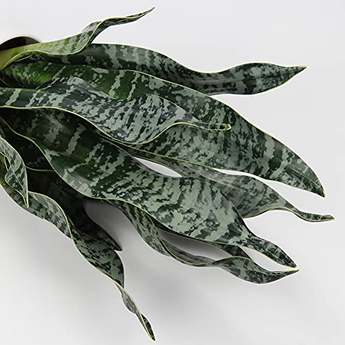 Artificial Snake Plant Potted Faux Sansevieria Trifasciata Plants (Green-16.5" Style 2)