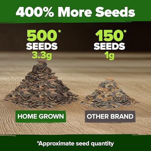 Zinnia Seeds Envy