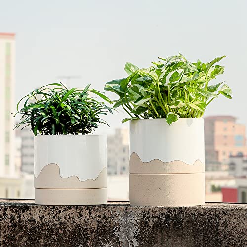 Ceramic Plant Pot