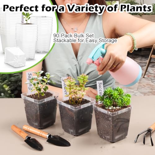 3.3 Inch Clear Nursery Pots with Drainage (Clear Pot+labels / 3.3Inch)