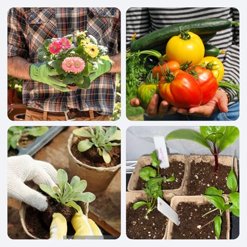 50Pcs Biodegradable Seedling Pots Seed Starter Kit 3.15 Inch Square Peat Pot with Drainage Holes (Square (With Labels, Picker, and Shovel))