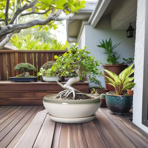 Large Succulent Planters (12 Inch / Grey-white)