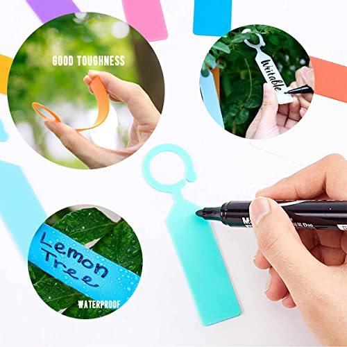 200 Pcs Thick Plastic Labels (200 Count)