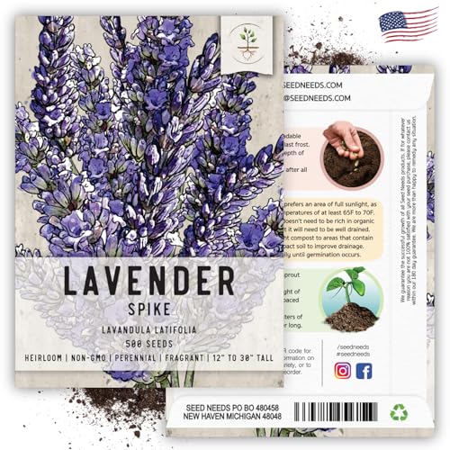 Spike Lavender Seeds to Plant Heirloom & Non (5 Packs)
