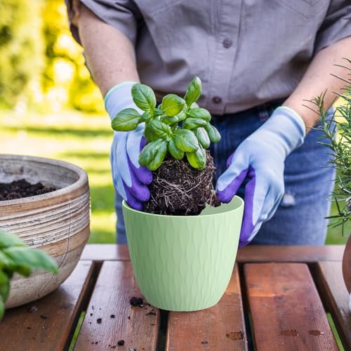 6 inch Plant Pots (5 Count)