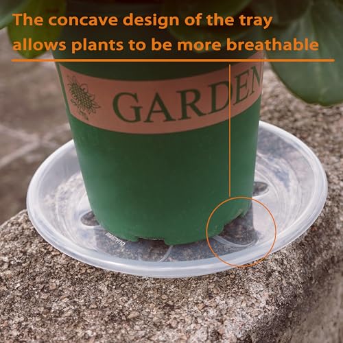 2 Pack of Plant Saucer 8 inch (8in*2 / Clear)