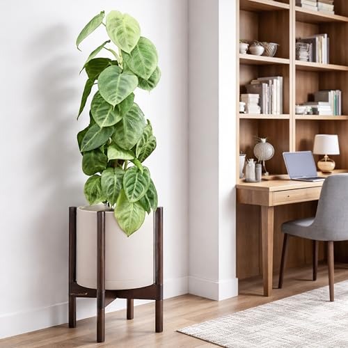 Plastic Pot with Walnut Wood Stand (Oatmeal Pot + Walnut Color Stand / 10 Inch)