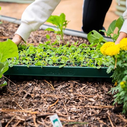 10" x 20" 76 Cells Seed Starter Tray Stackable Seedling Starting Germination Trays for Plants Planting Vegetables Herbs Flowers (4 Pack / 76 Cells Stackable Tray)