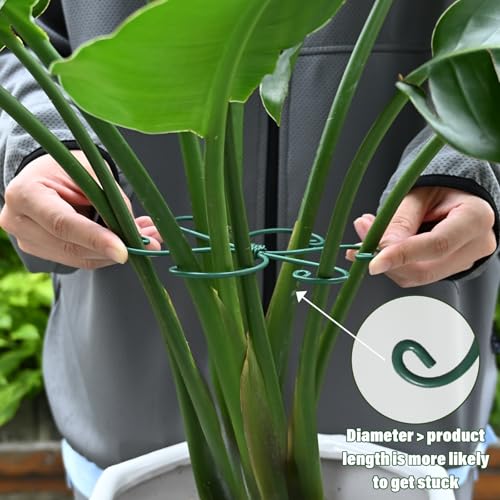 5PCS Monstera Plant Support Hook Green (Green / 5.5IN*5.5IN)