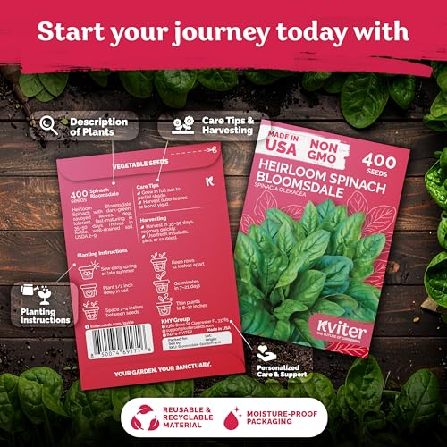 400 Bloomsdale Spinach Heirloom Vegetable Seeds