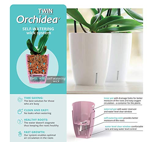 4.9 Inch ORCHIDEA Self Watering Pots for Orchids in Blue (3 Count)