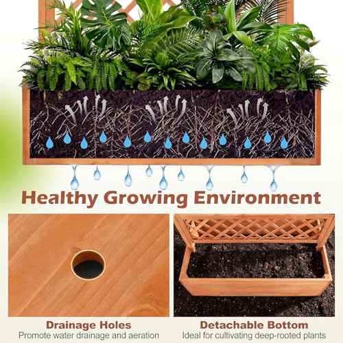 Raised Garden Bed with Trellis (Orange / 60"Lx22"Wx72"H)