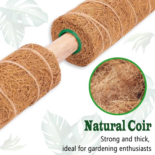 2 Pack 17 Inch Moss Pole (2 Count)