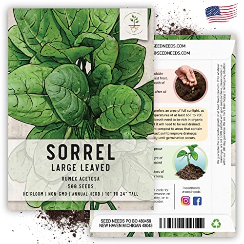 Sorrel Seeds to Plant Heirloom & Non (2 Packs)