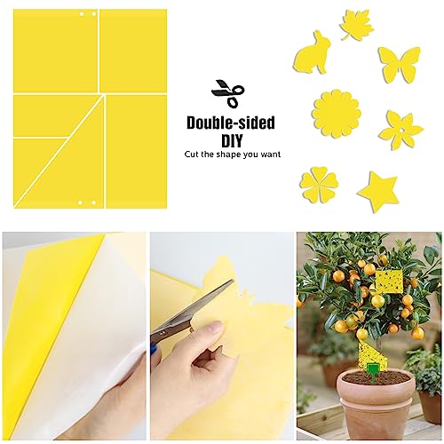 60 Pack Yellow Sticky Traps for Gnats (60Packs)