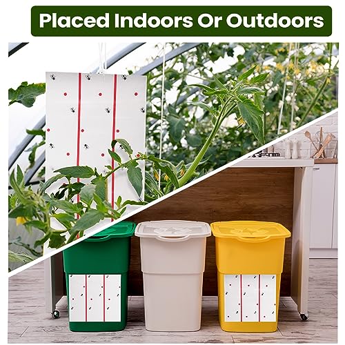 5 Pcs Giant Flypaper Fly Traps (White)