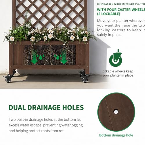 2 Pack Trellis Raised Garden Bed Trellis for Climbing Plants (Dark-brown / 49.8"H × 27.5"W × 13"D)