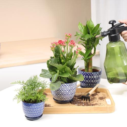Ceramic Succulent Pots (Vintage Blue / 4.6 Inch, Set of 6)