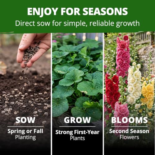 Summer Carnival Giant Hollyhock Seeds