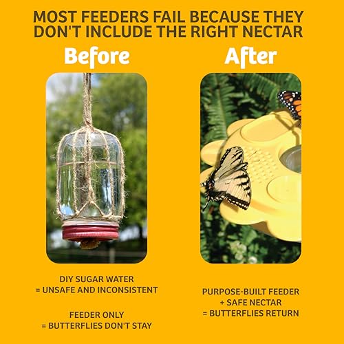 Flutterby 12 oz Outdoor Butterfly Feeder + 7.5 oz Nectar Bundle