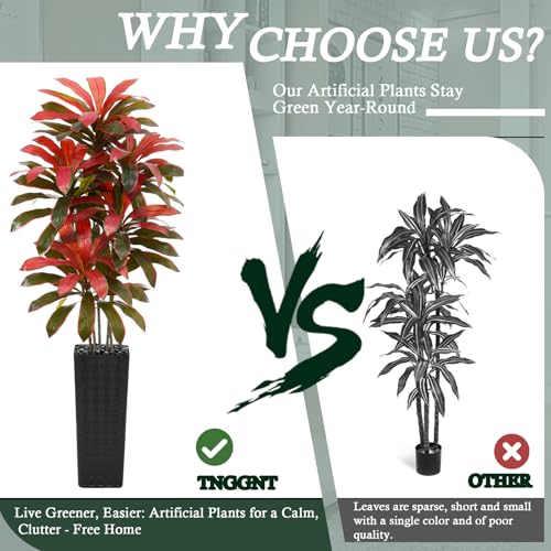 Artificial Dracaena Tree (Burgundy – Black Pot / 7FT)