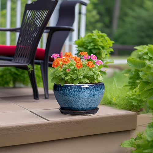 Ceramic Pots for Plants (9 Inch / Blue)