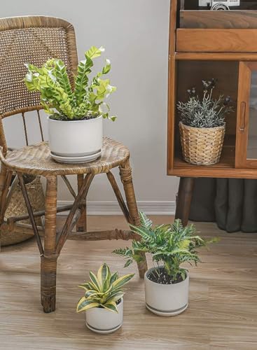 6.8 Inch Ceramic Pots for Plants (White / 6.8")