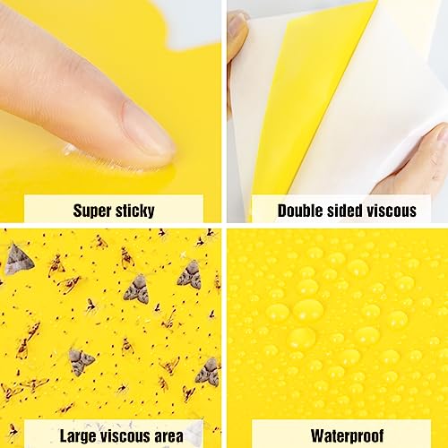 60 Pack Yellow Sticky Traps for Gnats (60Packs)