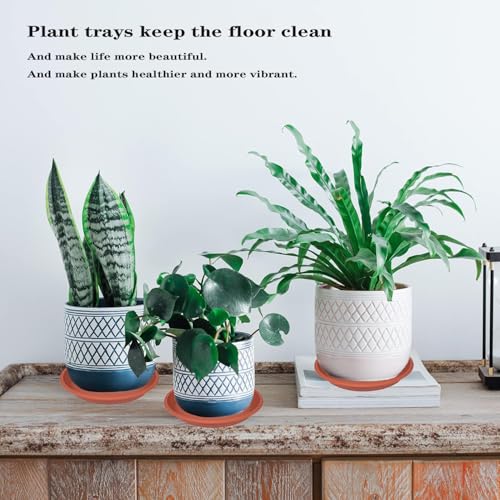 Plant Saucer 5 Pack 14 Inch Durable Plastic Plant Trays (14" (5 pack) / Terracotta)