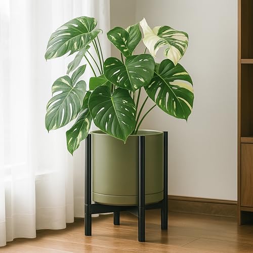 Ceramic Pot with Ebony Wood Stand (14 Inch / Olive Pot + Ebony Stand)