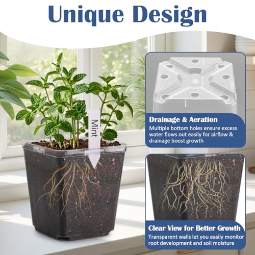 5.5 Inch Clear Square Nursery Pots with Drainage & Labels (Clear Pot+labels / 5.5Inch)