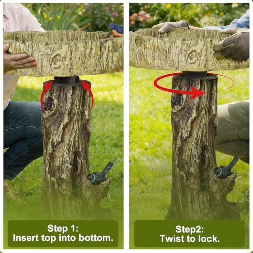 Bird Baths for Outdoor (Woodland with bird)