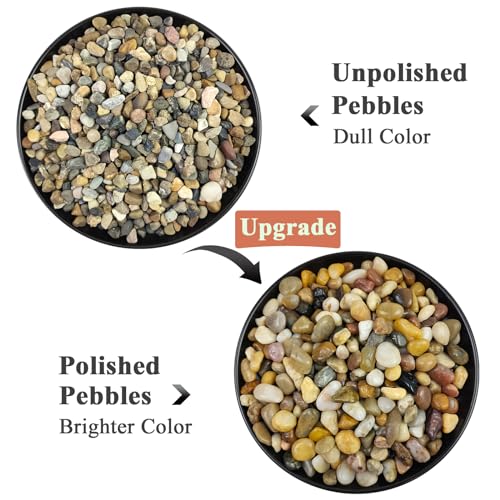 Pea Gravel for Fish Tank