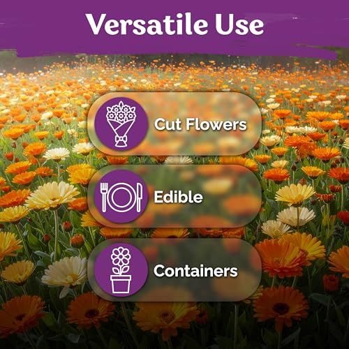 1500 Mix Pacific Beauty Calendula Seeds for Planting
