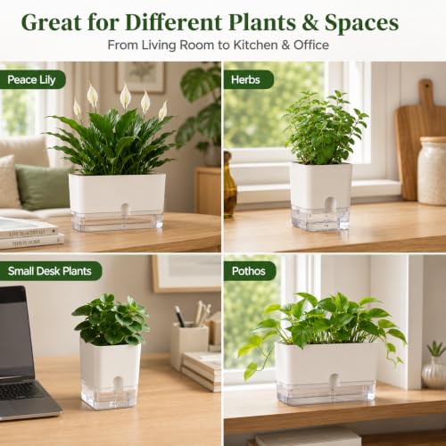 Self Watering Plant Pots for Indoor Plants 7 inch (8 Count)