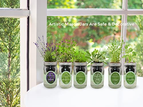 Hydroponic Herb Growing Kit Set
