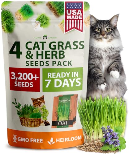 Indoor Cat Grass Refill 3