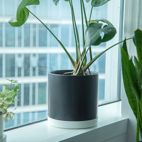 10 Inch Plastic Plant Saucer Water Drip Tray (10")