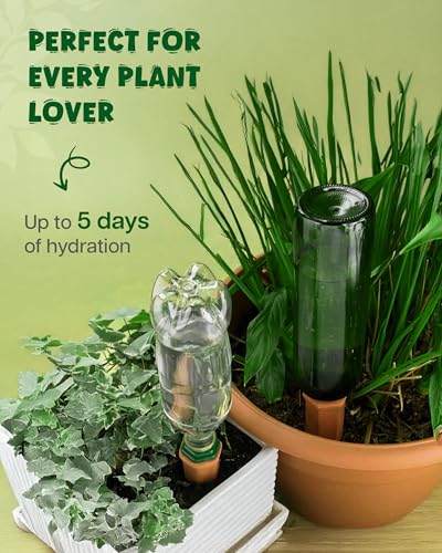 Plant Watering Devices (Terracotta - 2 Pcs (Pack of 1))