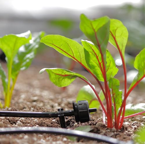 Solar Powered Automatic Watering Drip Irrigation System