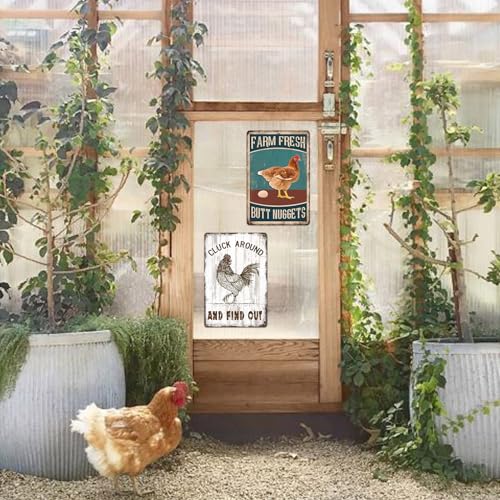Chicken Coop Metal Signs for Outdoor (a01)