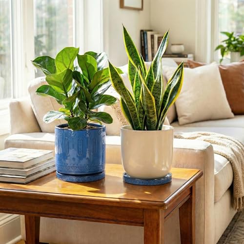 Plant Water Catcher Tray 7.5 Inch (7.5 Inch (2 Pack) / Blue)
