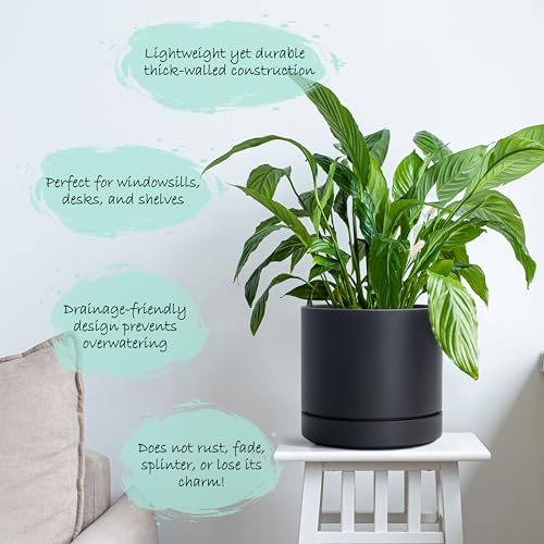6 Inch Planter Pot with Drainage Hole & Saucer (2 Count)