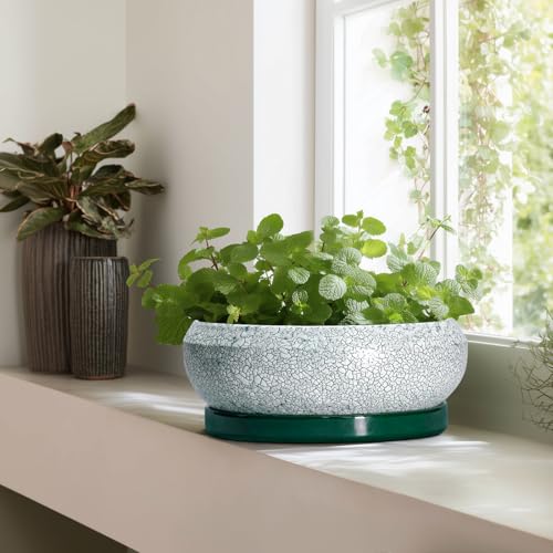 Bonsai Pots 13 Inch (13 Inch / Blackish Green-white)