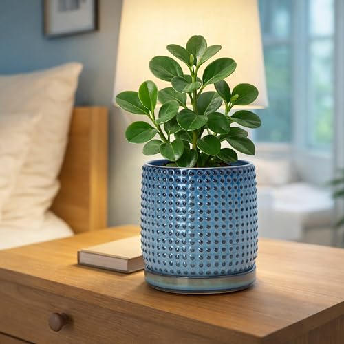 Beaded Ceramic Pot with Saucer (5.8 Inch / Ocean Teal)