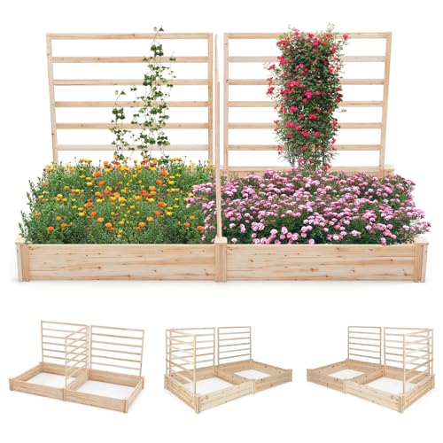 Raised Garden Bed with 3 Trellises & 2 Planter Boxes