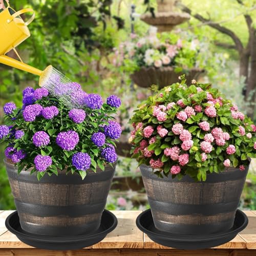 2 Pack of 10 inch Plant Saucer (10" (2 pack) / Black)